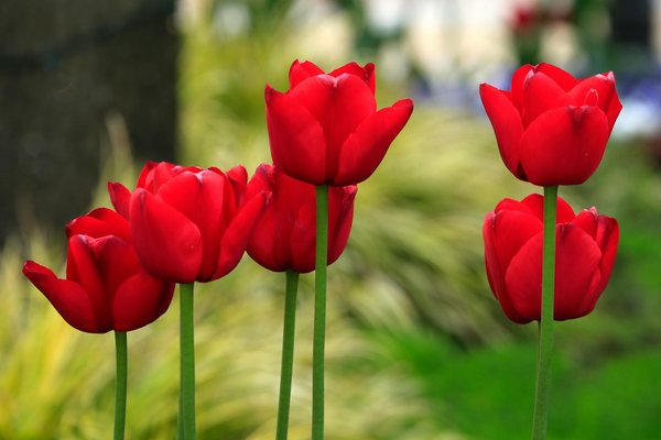 Services de climatisation à fréjus : solutions d'installation et dépannage efficaces